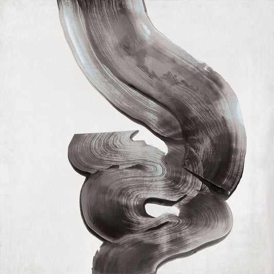 Image Only
