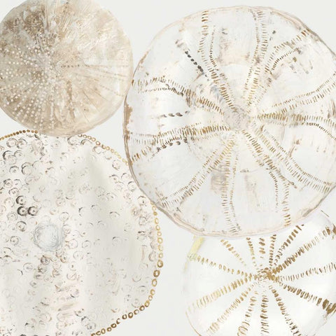 Sea Patterns II Black Ornate Wood Framed Art Print with Double Matting by Wilson, Aimee