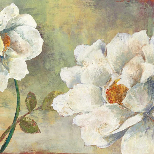 Image Only