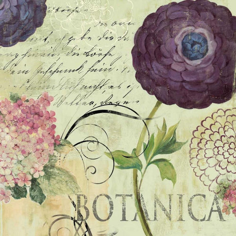 Botanica Black Ornate Wood Framed Art Print with Double Matting by Wilson, Aimee