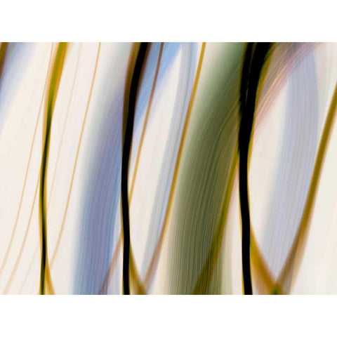 Silk Waves I White Modern Wood Framed Art Print by Cooke, William