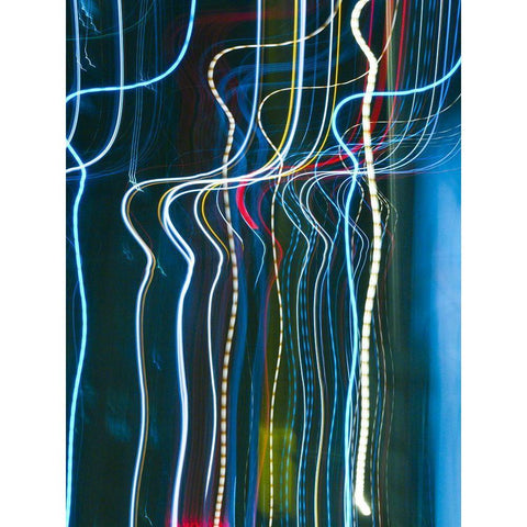 Stems I White Modern Wood Framed Art Print by Cooke, William