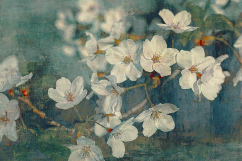 Sweet Spring I White Modern Wood Framed Art Print with Double Matting by Cooke, William
