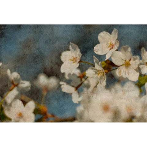 Early Dew Gold Ornate Wood Framed Art Print with Double Matting by Cooke, William
