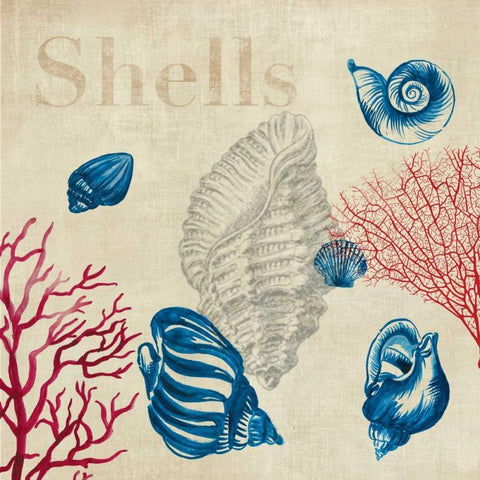 Shell Study White Modern Wood Framed Art Print with Double Matting by Wilson, Aimee