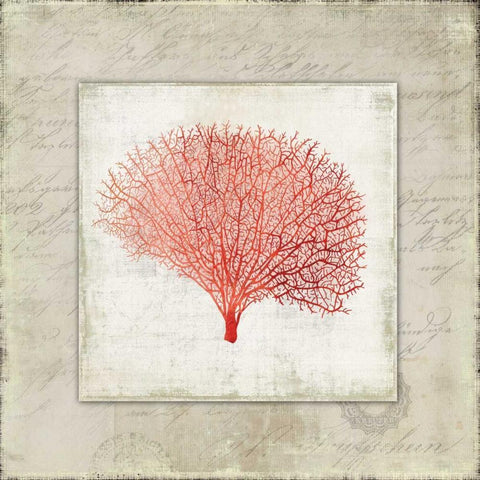 Coral Linen II White Modern Wood Framed Art Print with Double Matting by Wilson, Aimee