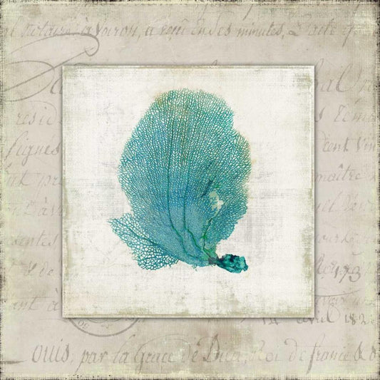 Image Only