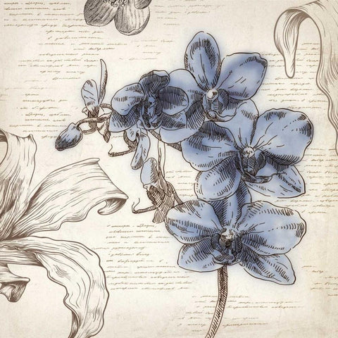 Blushing Blue II - Mini Black Modern Wood Framed Art Print by Wilson, Aimee