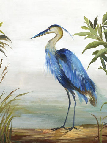 Blue Heron  White Modern Wood Framed Art Print with Double Matting by Wilson, Aimee