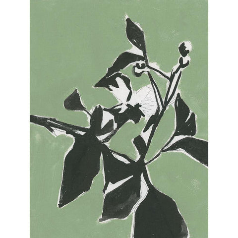 Naive Floral Silhouette I Black Modern Wood Framed Art Print with Double Matting by Cartissi