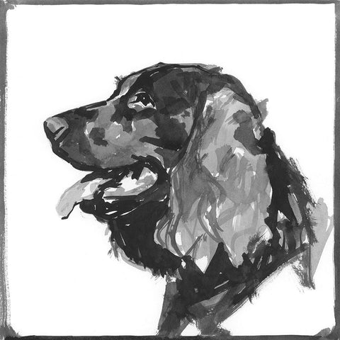 Spaniel Gold Ornate Wood Framed Art Print with Double Matting by Cartissi