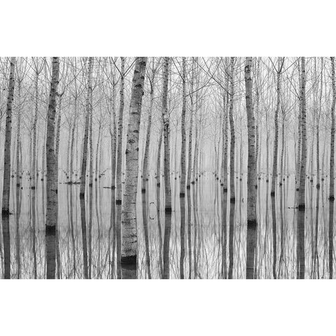 Novembre 2014 Black Modern Wood Framed Art Print by Simone
