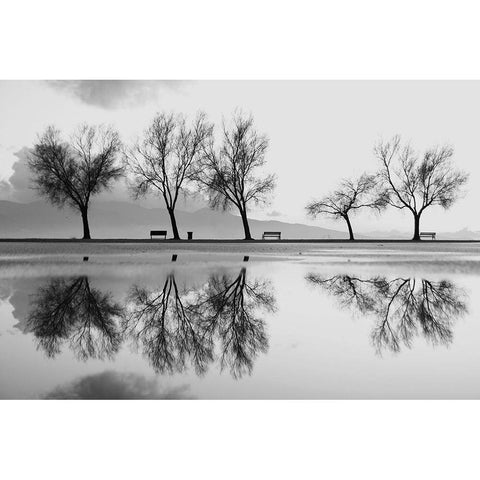 Kara Black Modern Wood Framed Art Print by Ayer