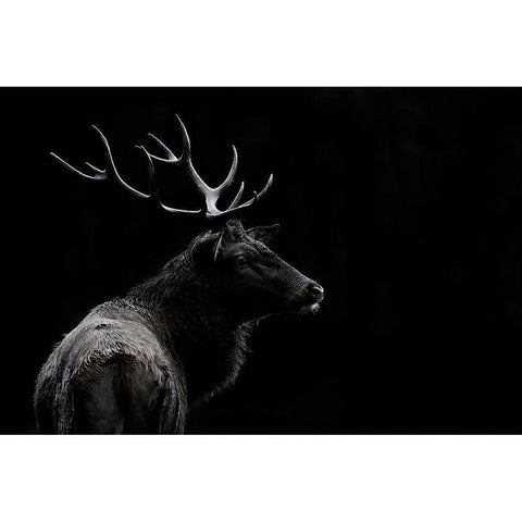 Mei - The Deer Soul White Modern Wood Framed Art Print by 1x