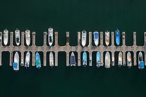 Vertical Alignment Black Ornate Wood Framed Art Print with Double Matting by Khattab, Hesham