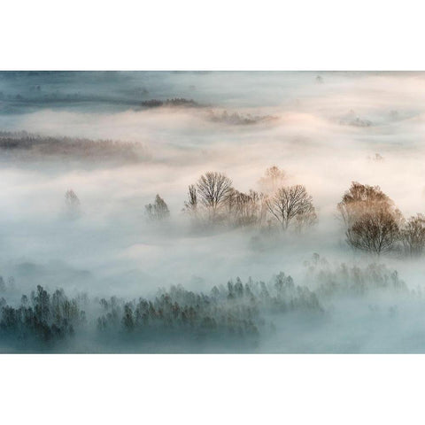 Winter Fog Gold Ornate Wood Framed Art Print with Double Matting by Galimberti