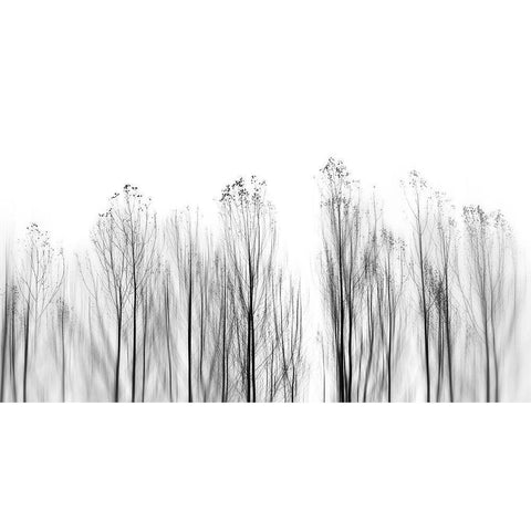 No Grounds Black Modern Wood Framed Art Print with Double Matting by Abrantes