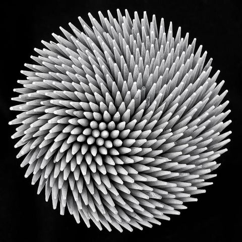 Hypnosis Black Modern Wood Framed Art Print by Toniolo