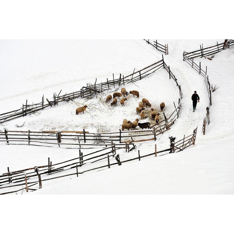 Protected Area White Modern Wood Framed Art Print by Harag