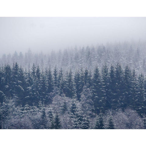 Frozen Trees Black Modern Wood Framed Art Print by ChristensenÂ 