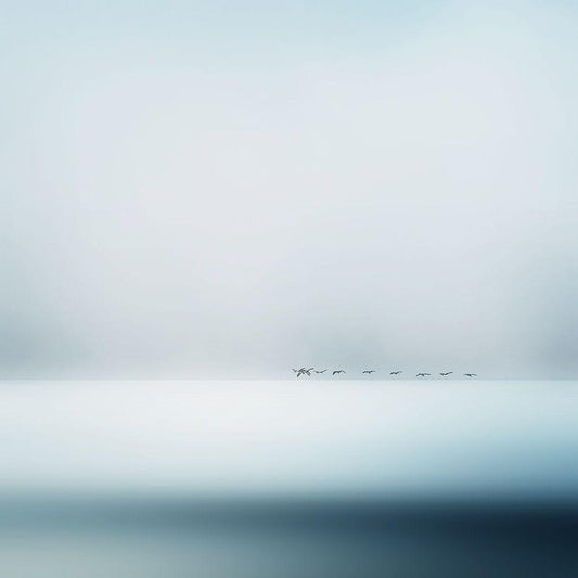 Image Only