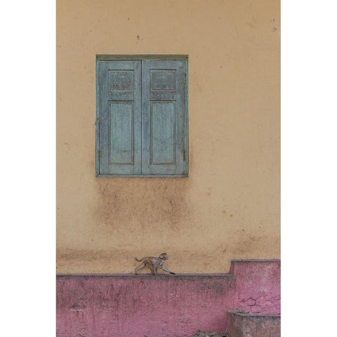 Monkey Stroll Gold Ornate Wood Framed Art Print with Double Matting by Dessureault