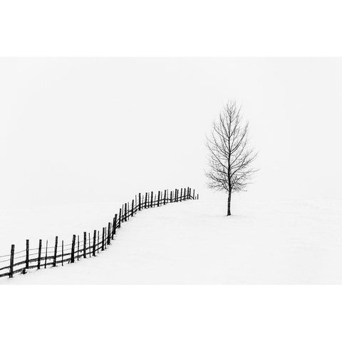 Silence  Black Modern Wood Framed Art Print by Lucian, Dorin