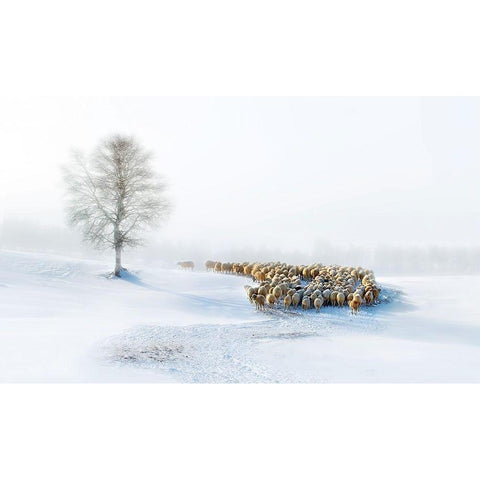 In Snow White Modern Wood Framed Art Print by Zhu