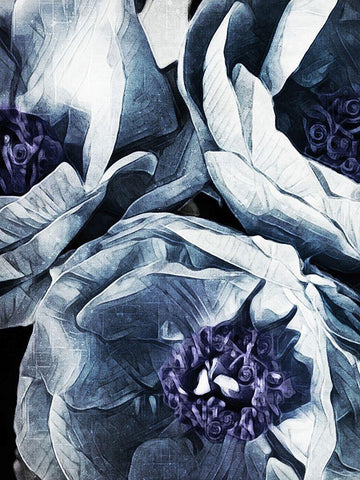 Peony Blue Petals I  Black Ornate Wood Framed Art Print with Double Matting by Aldridge, Ashley