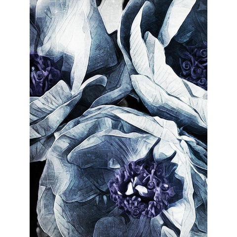 Peony Blue Petals I  Black Modern Wood Framed Art Print by Aldridge, Ashley