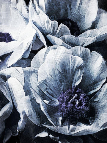 Peony Blue Petals II Black Ornate Wood Framed Art Print with Double Matting by Aldridge, Ashley