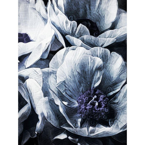 Peony Blue Petals II Black Modern Wood Framed Art Print by Aldridge, Ashley