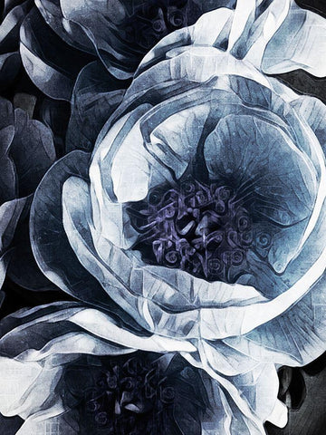 Peony Blue Petals III White Modern Wood Framed Art Print with Double Matting by Aldridge, Ashley