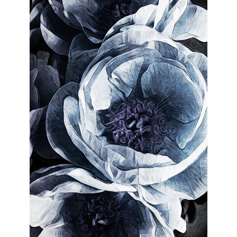 Peony Blue Petals III Black Modern Wood Framed Art Print with Double Matting by Aldridge, Ashley