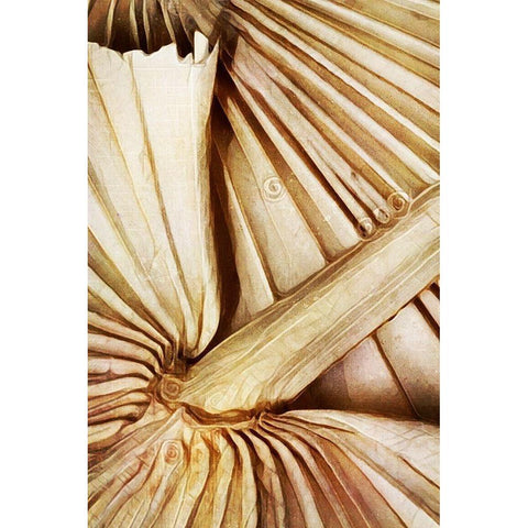 Natural Dried Palms I  Gold Ornate Wood Framed Art Print with Double Matting by Aldridge, Ashley