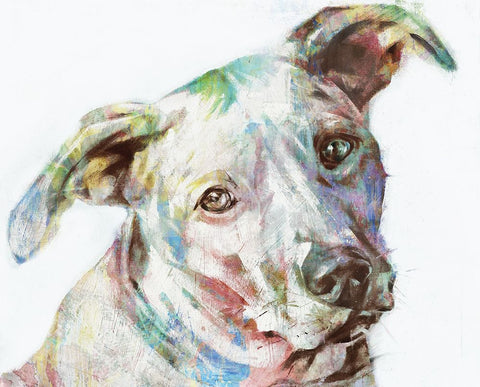 Ridgeback White Modern Wood Framed Art Print with Double Matting by Droug, Anya