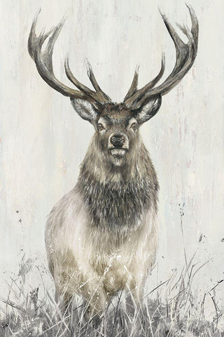 Proud Sinclair Black Ornate Wood Framed Art Print with Double Matting by Merryn, Bree