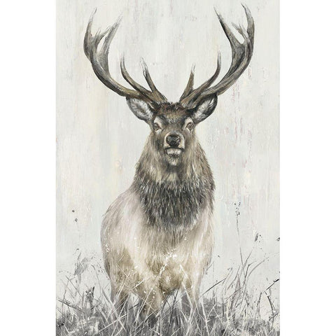 Proud Sinclair Black Modern Wood Framed Art Print with Double Matting by Merryn, Bree