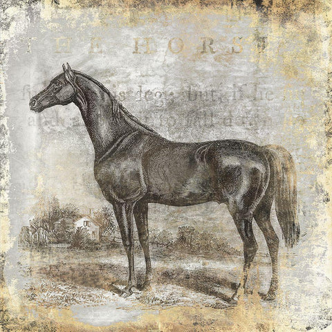 Gold Stallion I Black Ornate Wood Framed Art Print with Double Matting by Zalewski, Christine