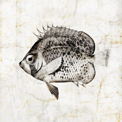 Vintage Fish IV Gold Ornate Wood Framed Art Print with Double Matting by Zalewski, Christine