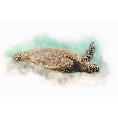 Hawaiian Green Sea Turtle Watercolor I Black Modern Wood Framed Art Print by Zalewski, Christine