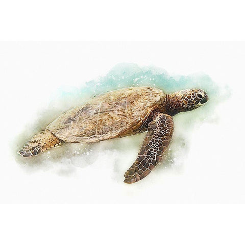 Hawaiian Green Sea Turtle Watercolor II Black Modern Wood Framed Art Print by Zalewski, Christine
