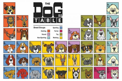 The Dog Table White Modern Wood Framed Art Print with Double Matting by Angry Squirrel Studio