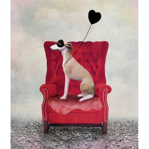 Heathcliffe White Modern Wood Framed Art Print by Art and Ghosts