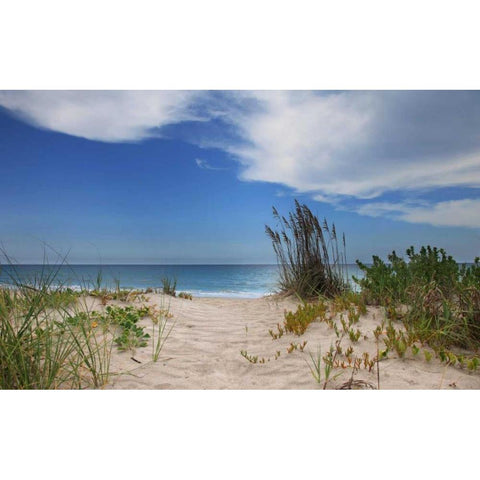 Dune Trail Black Modern Wood Framed Art Print with Double Matting by Anderson, Brent