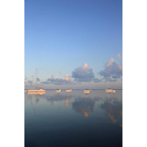 Sunrise Sails Black Modern Wood Framed Art Print by Anderson, Brent