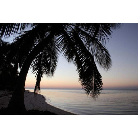 Palm Tree Sunset Gold Ornate Wood Framed Art Print with Double Matting by Anderson, Brent