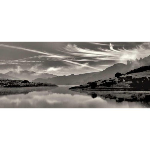 Cirrus Black Modern Wood Framed Art Print with Double Matting by Aron, Lucy