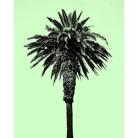 Palm Tree 1996 (Green) Gold Ornate Wood Framed Art Print with Double Matting by Asla, Erik