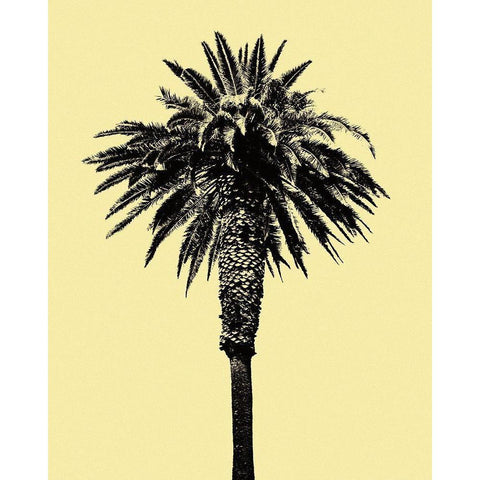 Palm Tree 1996 (Yellow) Gold Ornate Wood Framed Art Print with Double Matting by Asla, Erik